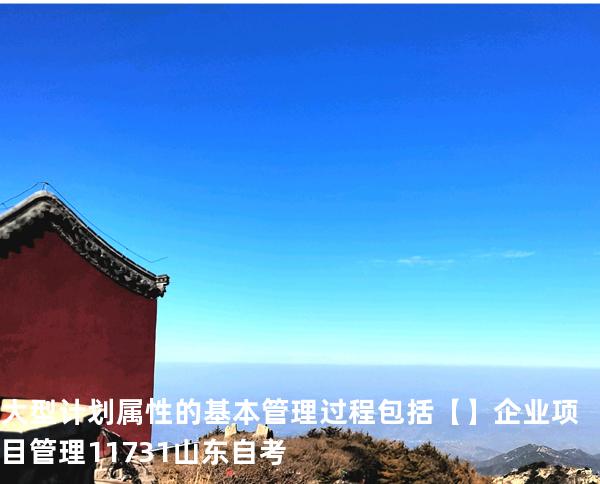 大型计划属性的基本管理过程包括【】企业项目管理 11731 山东自考
