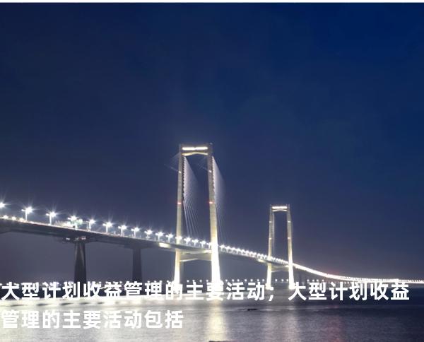 大型计划收益管理的主要活动； 大型计划收益管理的主要活动包括