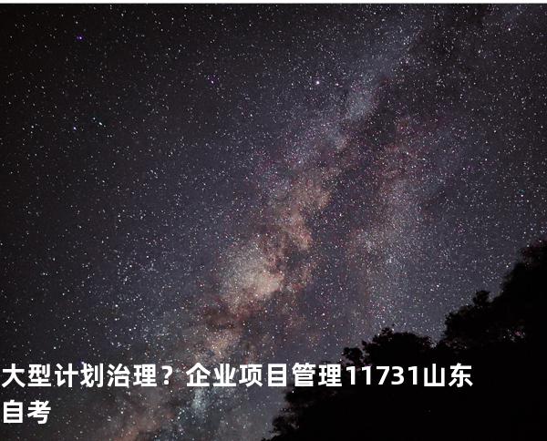 大型计划治理？企业项目管理 11731 山东自考