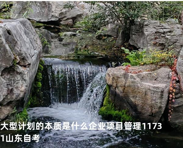 大型计划的本质是什么? 企业项目管理 11731 山东自考