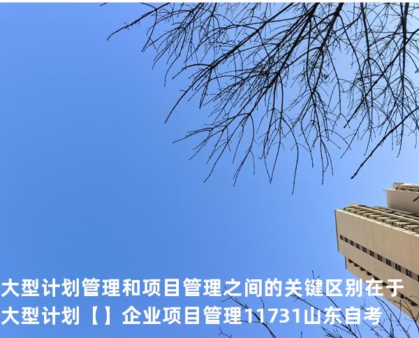 大型计划管理和项目管理之间的关键区别在于大型计划【】企业项目管理 11731 山东自考