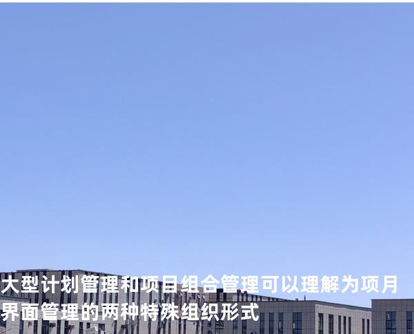 大型计划管理和项目组合管理可以理解为项月界面管理的两种特殊组织形式