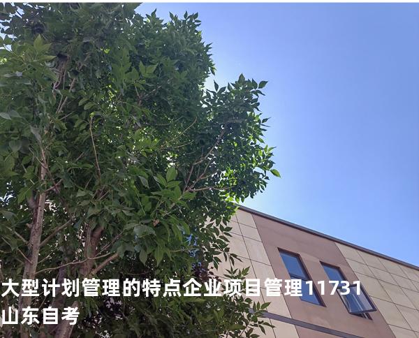 大型计划管理的特点 企业项目管理 11731 山东自考