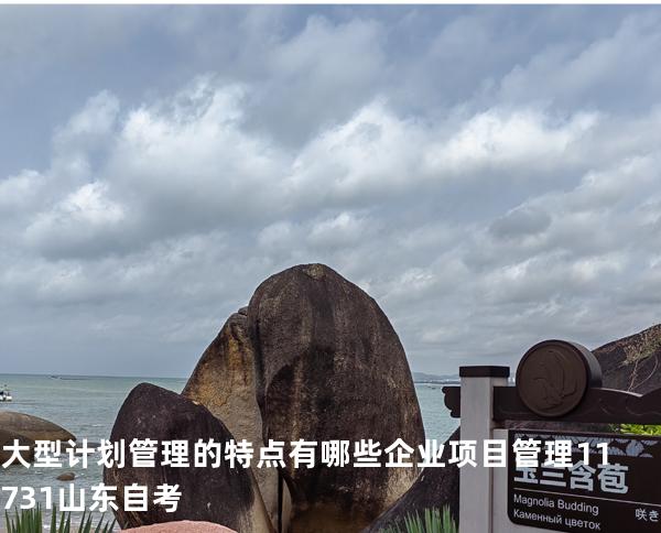 大型计划管理的特点有哪些?企业项目管理 11731 山东自考