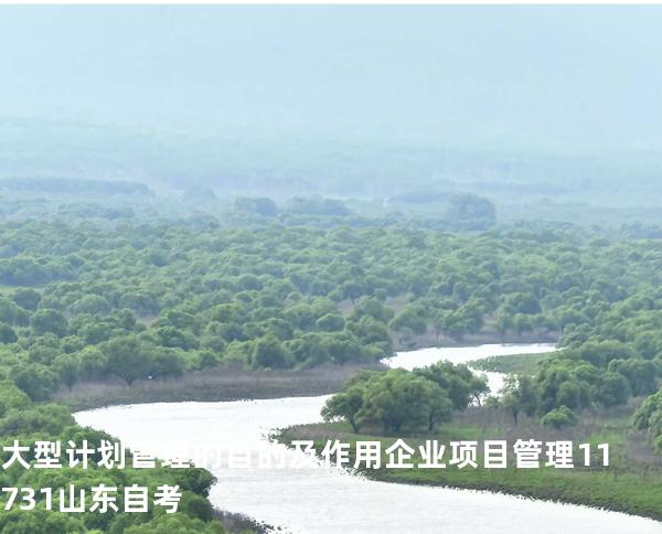 大型计划管理的目的及作用 企业项目管理 11731 山东自考