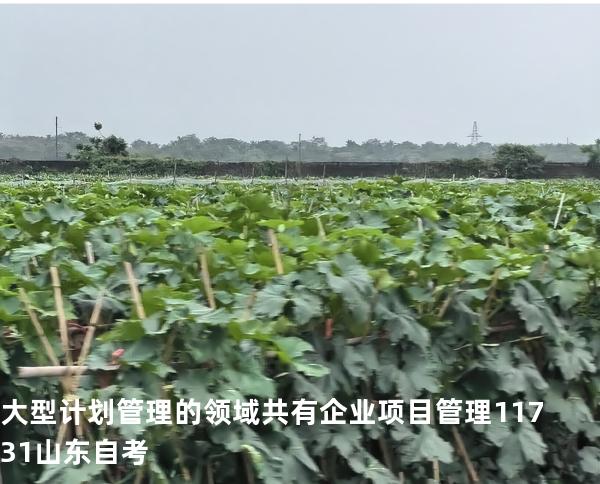 大型计划管理的领域共有 企业项目管理 11731 山东自考