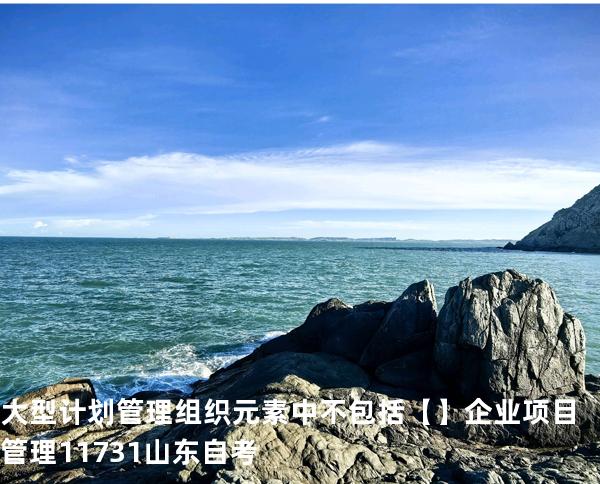 大型计划管理组织元素中不包括【】企业项目管理 11731 山东自考