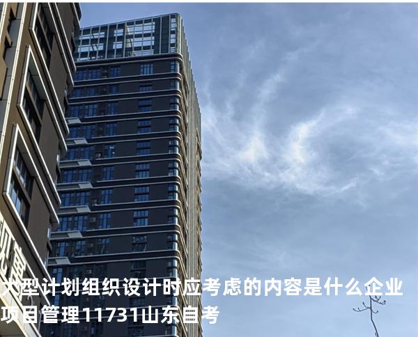 大型计划组织设计时应考虑的内容是什么?企业项目管理 11731 山东自考
