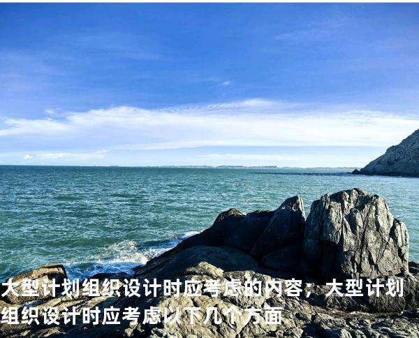 大型计划组织设计时应考虑的内容； 大型计划组织设计时应考虑以下几个方面