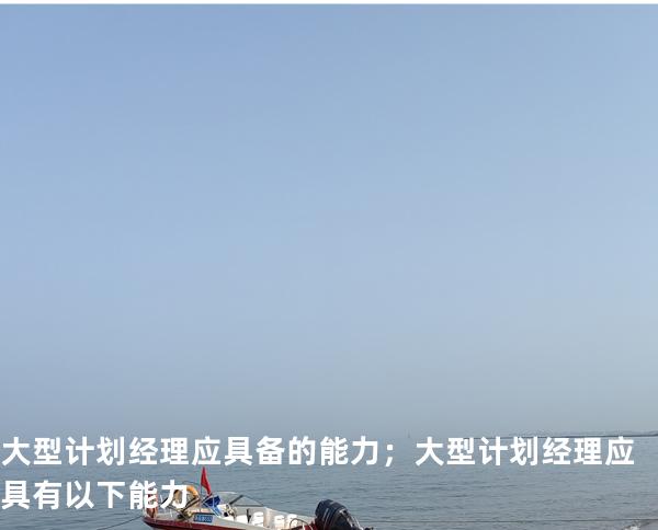 大型计划经理应具备的能力； 大型计划经理应具有以下能力