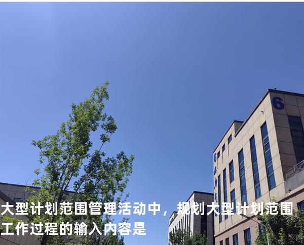 大型计划范围管理活动中，规划大型计划范围工作过程的输入内容是