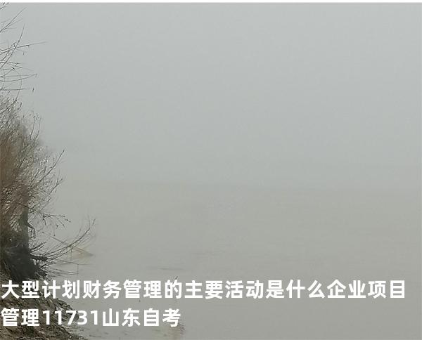 大型计划财务管理的主要活动是什么?企业项目管理 11731 山东自考