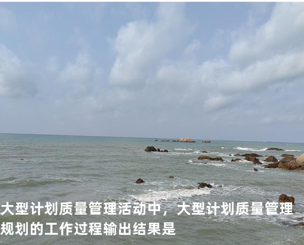 大型计划质量管理活动中，大型计划质量管理规划的工作过程输出结果是