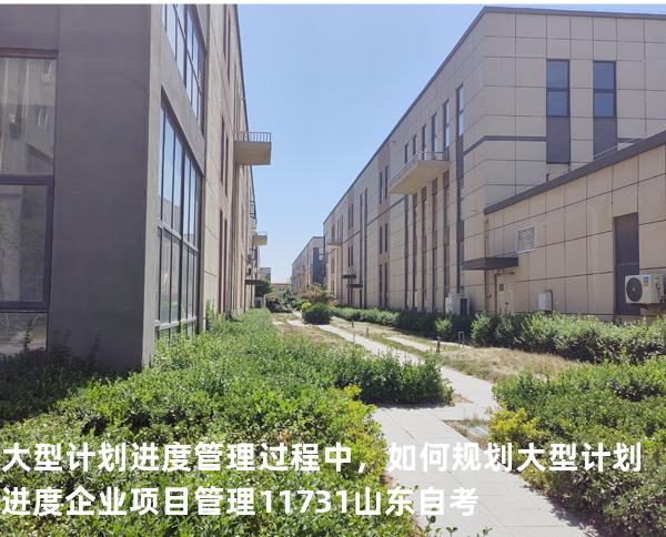 大型计划进度管理过程中，如何规划大型计划进度?企业项目管理 11731 山东自考