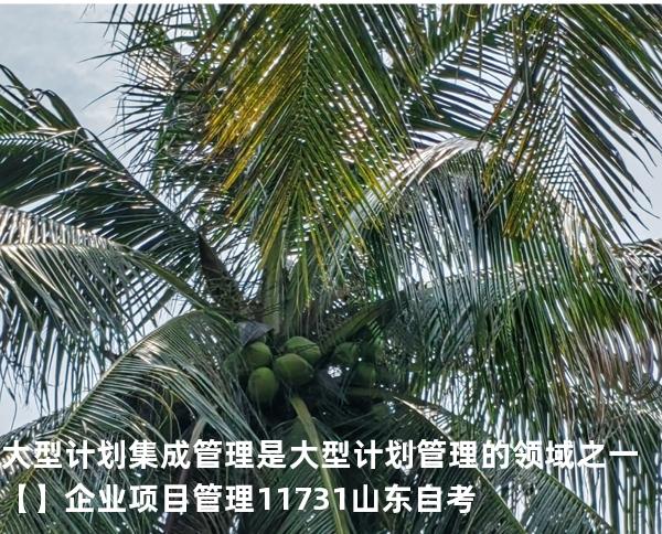 大型计划集成管理是大型计划管理的领域之一【】企业项目管理 11731 山东自考