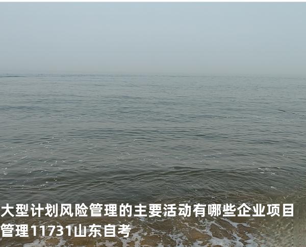 大型计划风险管理的主要活动有哪些?企业项目管理 11731 山东自考