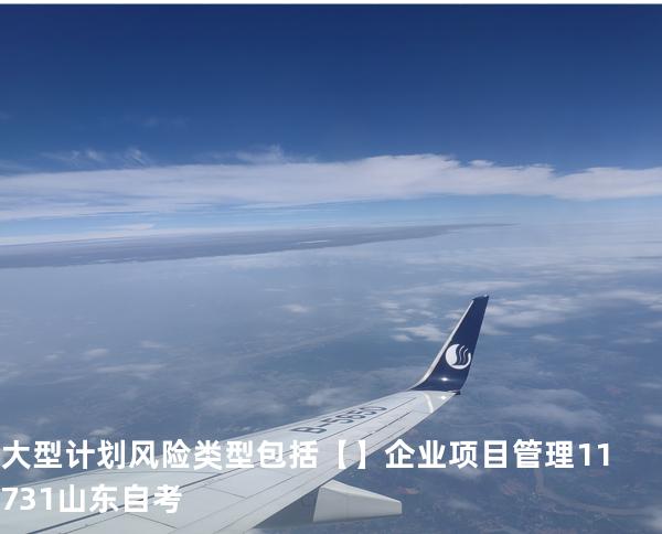 大型计划风险类型包括【】企业项目管理 11731 山东自考