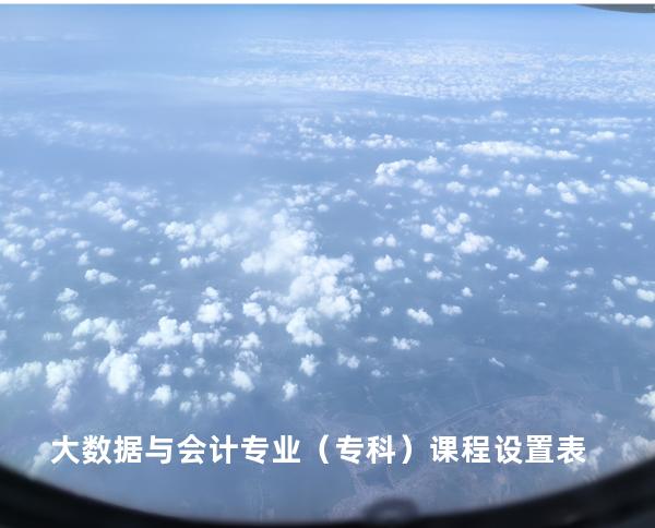 大数据与会计专业（专科）课程设置表