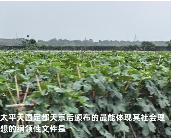 太平天国定都天京后颁布的最能体现其社会理想的纲领性文件是