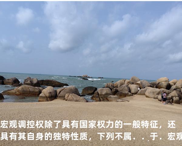 宏观调控权除了具有国家权力的一般特征，还具有其自身的独特性质，下列不属．．于．宏观调控 