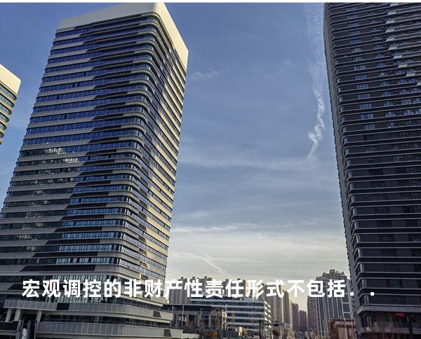 宏观调控的非财产性责任形式不包括．．