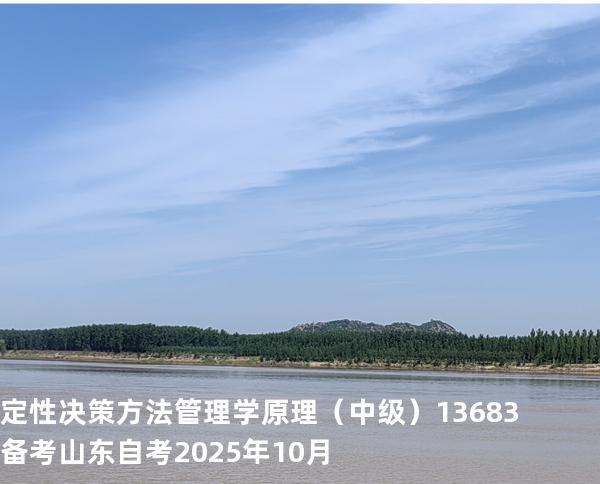 定性决策方法管理学原理（中级）13683备考山东自考2025年10月