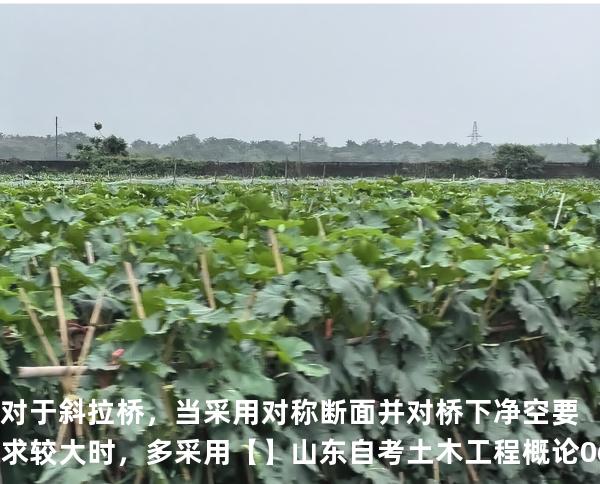对于斜拉桥，当采用对称断面并对桥下净空要求较大时，多采用【】山东自考 土木工程概论 06393 真题解
