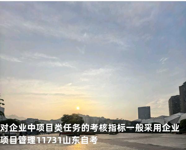对企业中项目类任务的考核指标一般采用 企业项目管理 11731 山东自考