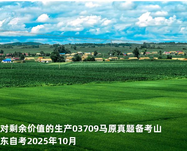 对剩余价值的生产 03709 马原真题 备考山东自考2025年10月