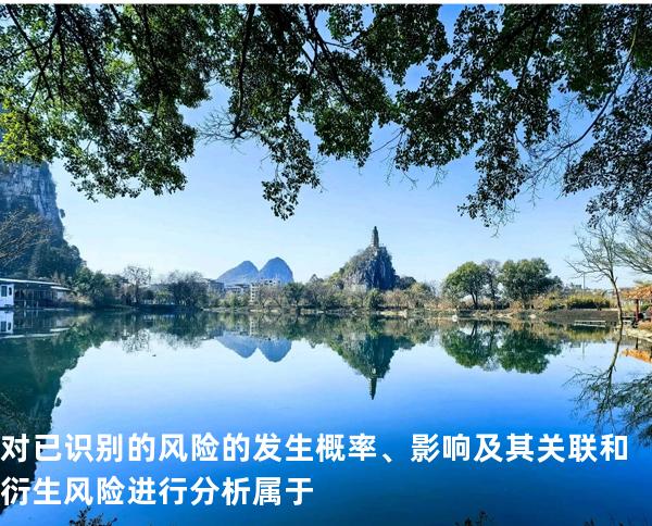 对已识别的风险的发生概率、影响及其关联和衍生风险进行分析属于