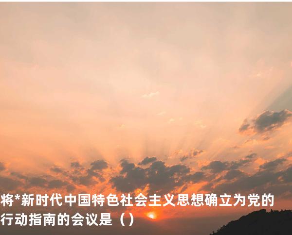 将*新时代中国特色社会主义思想确立为党的行动指南的会议是（  ）