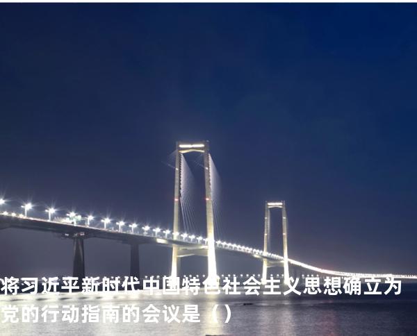 将习近平新时代中国特色社会主义思想确立为党的行动指南的会议是（  ）