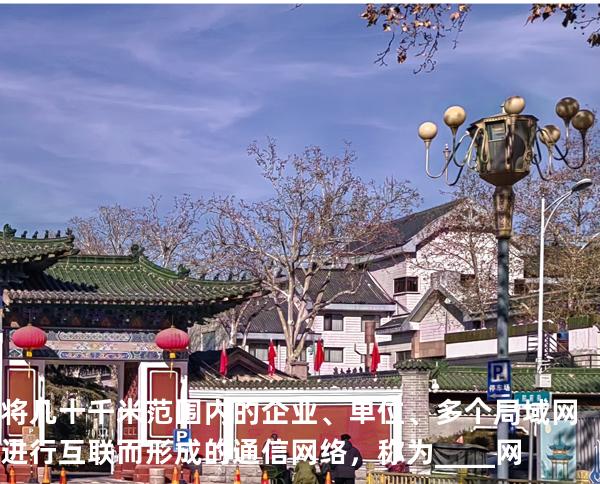 将几十千米范围内的企业、单位、多个局域网进行互联而形成的通信网络，称为____网