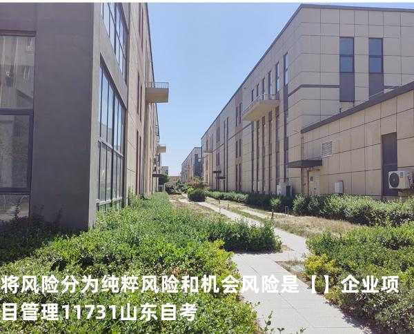 将风险分为纯粹风险和机会风险是【】企业项目管理 11731 山东自考