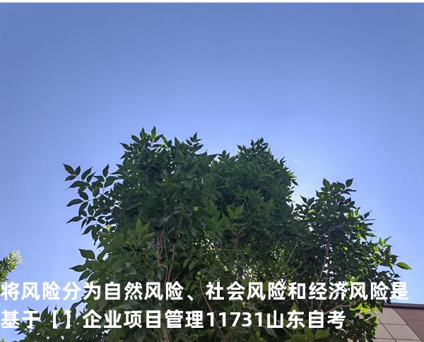 将风险分为自然风险、社会风险和经济风险是基于【】企业项目管理 11731 山东自考