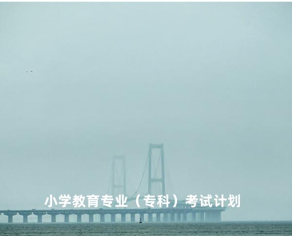 小学教育专业（专科）考试计划