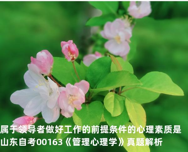 属于领导者做好工作的前提条件的心理素质是  山东自考00163《管理心理学》真题解析