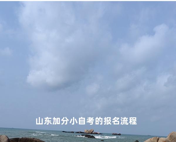 山东加分小自考的报名流程