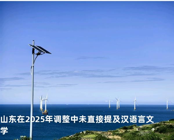 山东在2025年调整中未直接提及汉语言文学