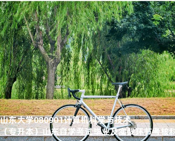 山东大学	080901	计算机科学与技术（专升本）山东自学考试毕业及实践环节考核科目时间