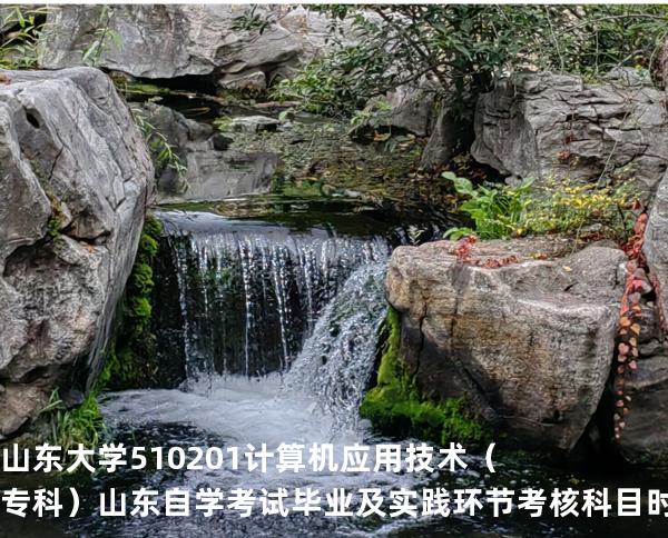 山东大学	510201	计算机应用技术（专科） 山东自学考试毕业及实践环节考核科目时间