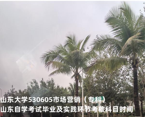 山东大学	530605	市场营销（专科）山东自学考试毕业及实践环节考核科目时间