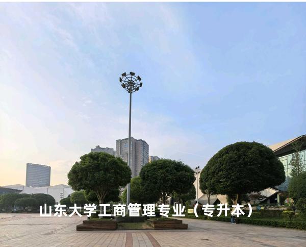 山东大学 工商管理专业（专升本）