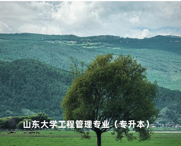 山东大学工程管理专业（专升本）