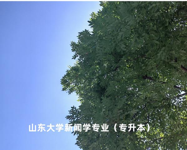 山东大学 新闻学专业（专升本）