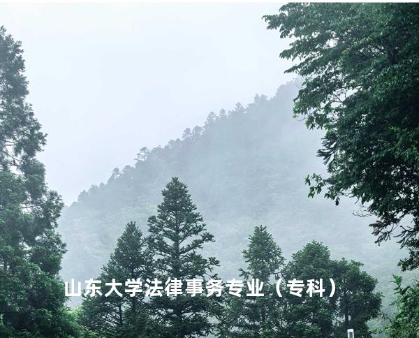 山东大学 法律事务专业（专科）