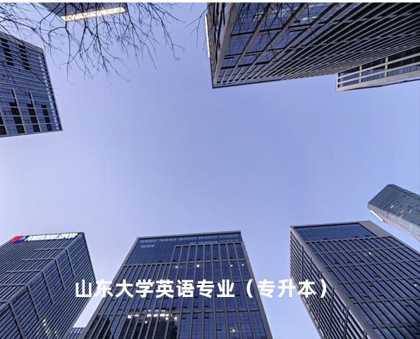 山东大学 英语专业（专升本）