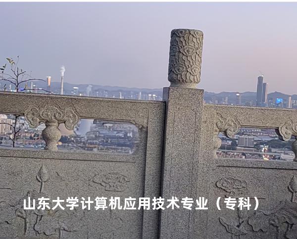 山东大学 计算机应用技术专业（专科）