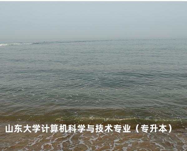 山东大学 计算机科学与技术专业（专升本）