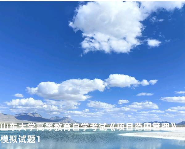 山东大学高等教育自学考试  《项目范围管理》模拟试题1